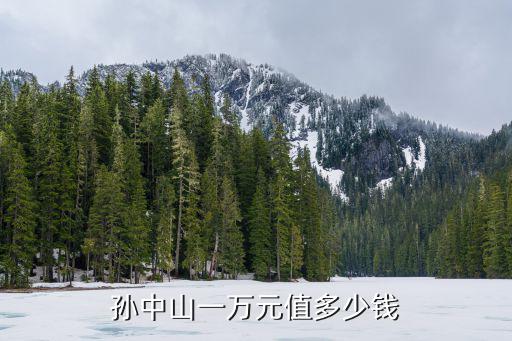 開元孫中山一元價格是多少,孫中山一萬元值多少錢