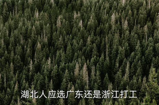 廣東人有多少湖北人,湖北人應(yīng)選廣東還是浙江打工