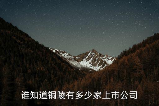 2018溫州上市公司多少家,溫州經(jīng)濟(jì)可能超萬(wàn)億嗎