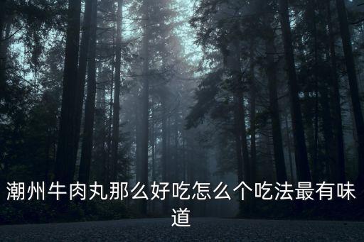 潮州郎牛肉丸粉怎么吃,潮汕牛肉丸面怎么做