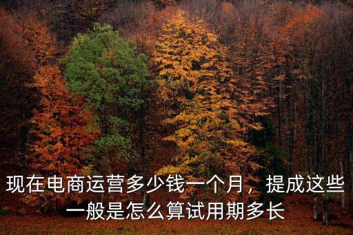 廣州淘寶運營專員工資一般多少錢,淘寶運營工資一般是多少