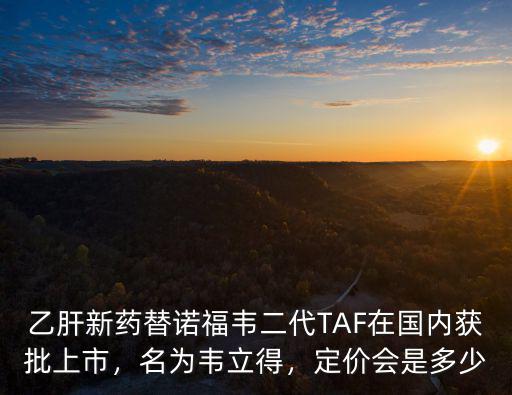 深圳醫(yī)院替諾福韋價(jià)格多少,二代替諾福韋的價(jià)格是多少