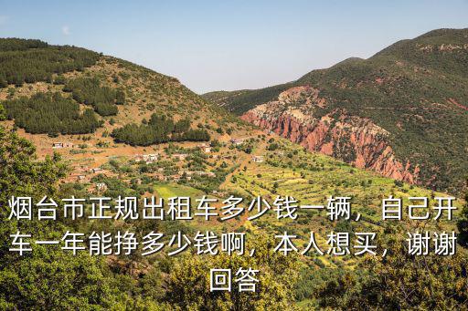 煙臺市正規(guī)出租車多少錢一輛，自己開車一年能掙多少錢啊，本人想買，謝謝回答