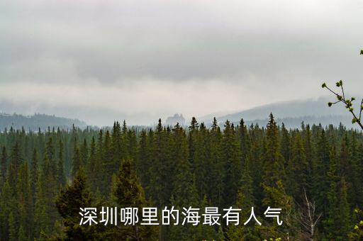 深圳碧海哪里有玩沙的,深圳有那些免費(fèi)的海邊景點(diǎn)