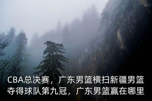 cba總決賽廣東男籃在哪里比賽,廣東男籃贏在哪里