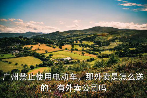 廣州的外賣市場怎么樣,那外賣是怎么送的