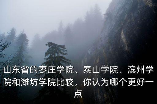 濰坊學院有多少人,山東濰坊學院怎么樣