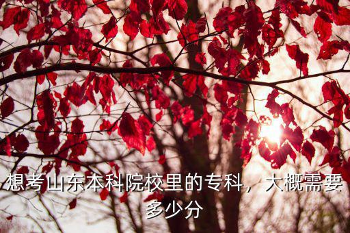 想考山東本科院校里的專科，大概需要多少分