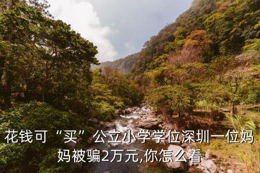 花錢可“買”公立小學學位深圳一位媽媽被騙2萬元,你怎么看