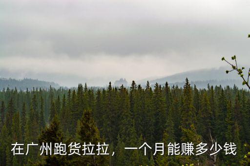 從哪個貨拉拉到深圳多少錢啊,在廣州跑貨拉拉