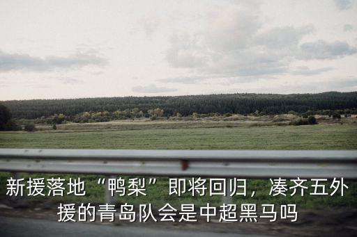 中超青島隊多少分了,中超青島隊已經8連敗