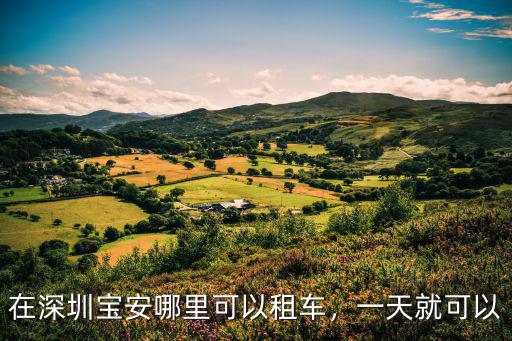 在深圳寶安哪里可以租車，一天就可以