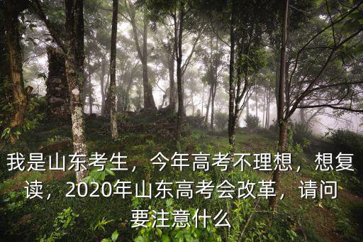 我是山東考生，今年高考不理想，想復讀，2020年山東高考會改革，請問要注意什么