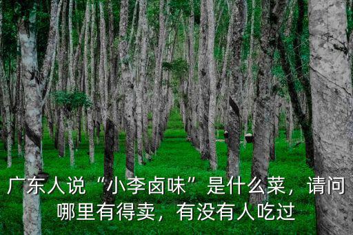 廣東人怎么買鹵味,廣東人說小李鹵味是什么菜