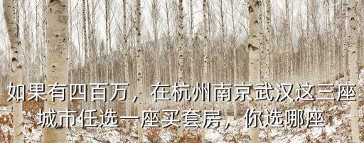 如果有四百萬(wàn)，在杭州南京武漢這三座城市任選一座買(mǎi)套房，你選哪座
