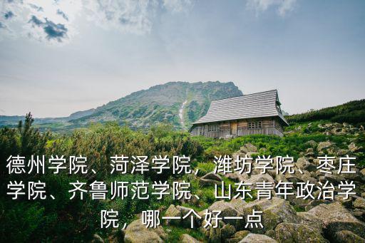 德州學院、菏澤學院，濰坊學院、棗莊學院、齊魯師范學院、山東青年政治學院，哪一個好一點