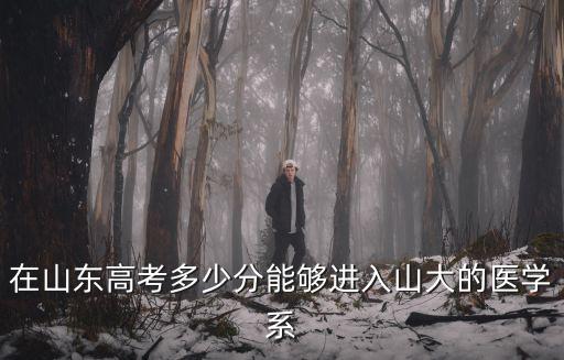 在山東高考多少分能夠進入山大的醫學系