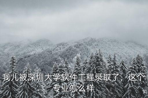 我兒被深圳大學(xué)軟件工程錄取了，這個專業(yè)怎么樣