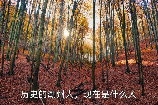 潮州人是怎么來的,歷史的潮州人