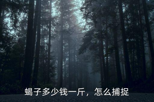 蝎子多少錢一斤，怎么捕捉