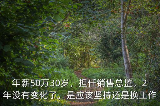 杭州銷售總監(jiān)年薪一般多少,酒吧銷售總監(jiān)工資一般多少