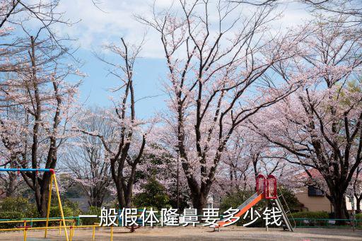 一般假體隆鼻要多少錢