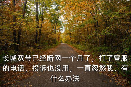 長城寬帶已經斷網一個月了，打了客服的電話，投訴也沒用，一直忽悠我，有什么辦法