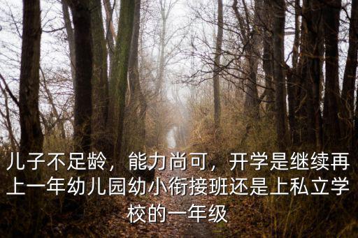 青島幼小銜接班每月多少錢,想在青島市辦幼小銜接算術班