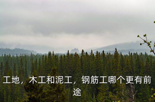 工地，木工和泥工，鋼筋工哪個更有前途