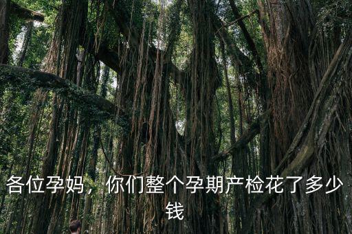 寧波孕期檢查費用多少錢啊,你們整個孕期產(chǎn)檢花了多少錢