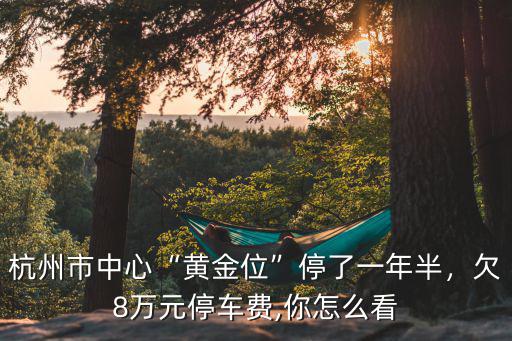 杭州市中心停車費多少錢一天,杭州市中心黃金位停了一年半