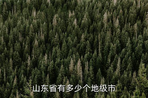 山東有多少城市名字,山東省有多少個(gè)地級(jí)市