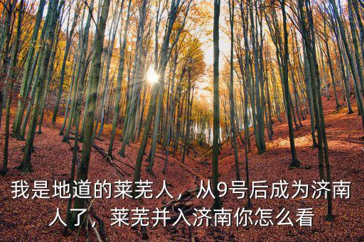 我是地道的萊蕪人，從9號后成為濟南人了，萊蕪并入濟南你怎么看