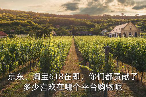 京東、淘寶618在即，你們都貢獻了多少喜歡在哪個平臺購物呢