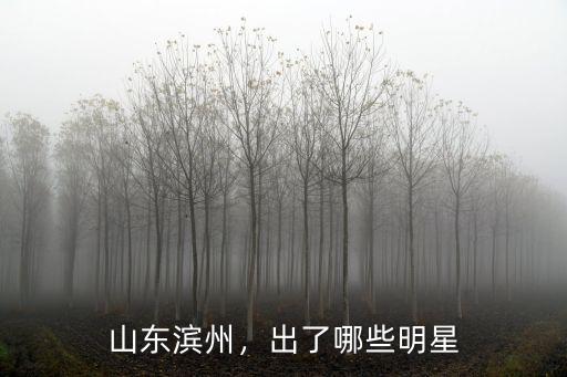山東出了多少有名歌手,山東出了多少明星