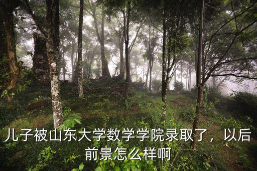 兒子被山東大學數學學院錄取了，以后前景怎么樣啊
