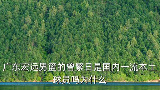 廣東宏遠男籃的曾繁日是國內一流本土球員嗎為什么