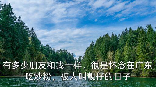 有多少朋友和我一樣，很是懷念在廣東吃炒粉，被人叫靚仔的日子