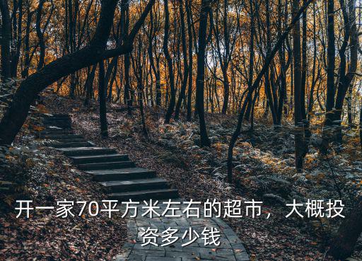 棗莊開一家超市多少錢一斤,開一家70平方米左右的超市