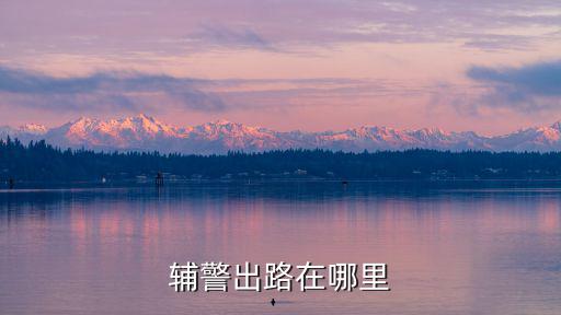 深圳輔警第六批考試地址在哪里,深圳輔警一般考什么