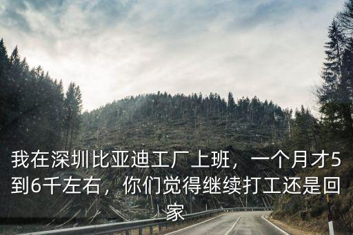 深圳市比亞迪工廠待遇怎么樣,我在深圳比亞迪工廠上班