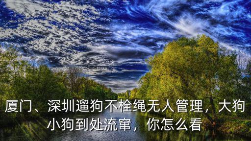 廈門、深圳遛狗不栓繩無人管理，大狗小狗到處流竄，你怎么看