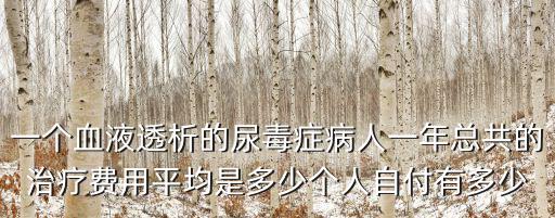 一個(gè)血液透析的尿毒癥病人一年總共的治療費(fèi)用平均是多少個(gè)人自付有多少