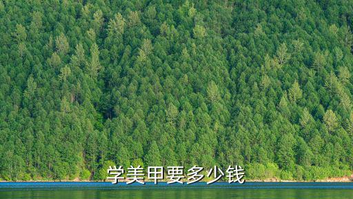 佛山大瀝美甲學徒要多少錢學費,學化妝美甲學費多少錢