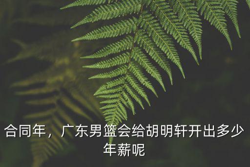 合同年，廣東男籃會給胡明軒開出多少年薪呢