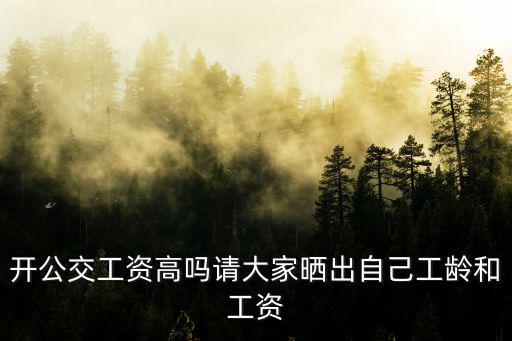 開公交工資高嗎請(qǐng)大家曬出自己工齡和工資