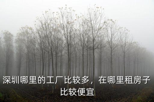 深圳五號線哪里租房子便宜,深圳租房哪里便宜