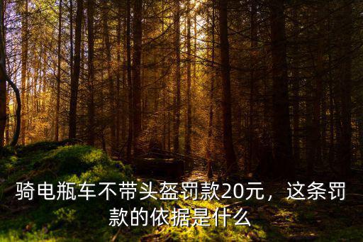 騎電瓶車不帶頭盔罰款20元，這條罰款的依據是什么