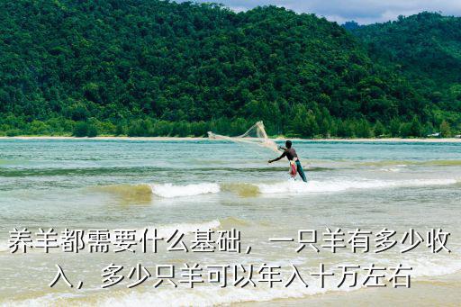 山東牧民一只羊多少錢,一個羊崽子多少錢