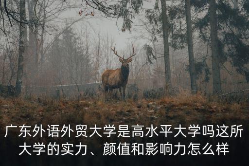 廣東外語外貿(mào)大學(xué)-財(cái)經(jīng)學(xué)院怎么樣,廣東外語外貿(mào)大學(xué)怎么樣